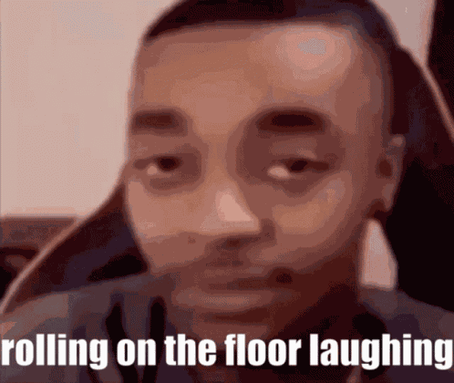 Rofl Sarcastic GIF