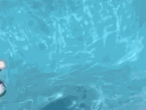 Rohan Kishibe GIF