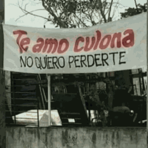 Roier Gif GIF