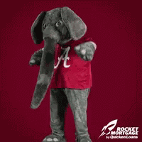Roll Tide GIF