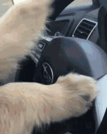 Rollin They See Me Rollin GIF