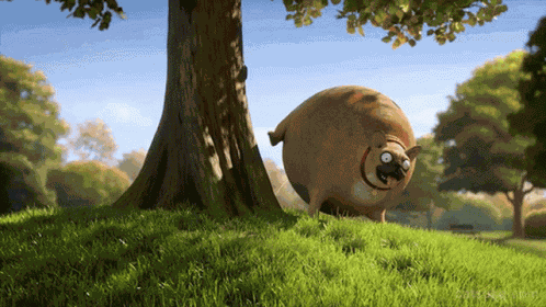Rolling Wild Dog GIF