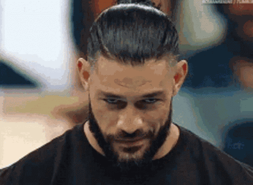 Roman Reigns The Champion GIF