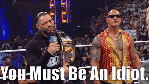 Roman Reigns You Must Be An Idiot GIF