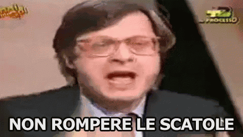 Rompiscatole Non Rompere Le Scatole Rompiballe Vittorio Sgarbi GIF