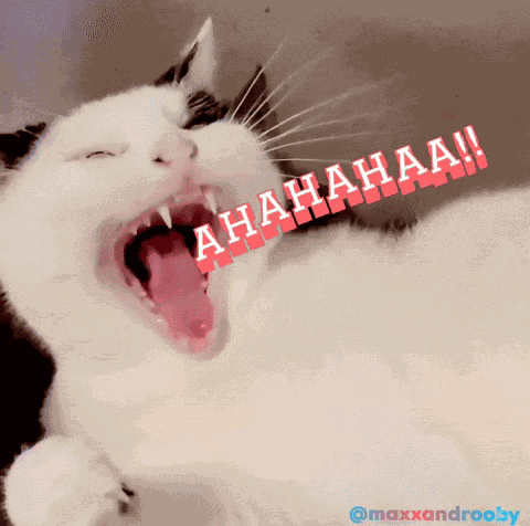 Rooby Maxxandrooby GIF