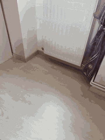 Room Curtain GIF