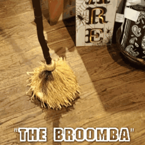 Roomba Funny GIF