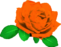 Rosa Sticker