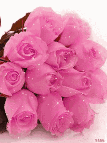 Rose Flower GIF