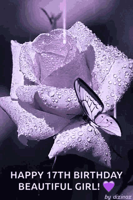 Rose Purple GIF