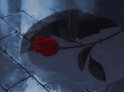 Rose Red GIF