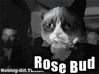 Rosebud Orsonwells GIF