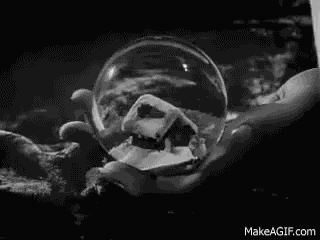 Rosebud The Ordinary Man Of Cinema GIF