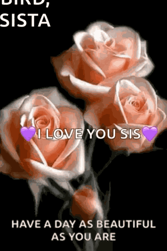 Rosechesbocciano GIF