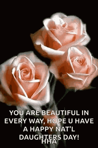 Roses Bloomingroses GIF