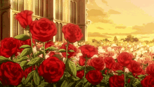 Roses Flowers GIF