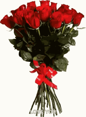 Roses Flowers GIF