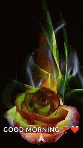 Roses GIF