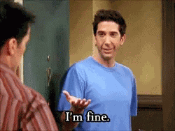Ross Geller David Schwimmer GIF
