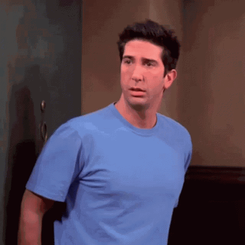Ross Geller Friends GIF