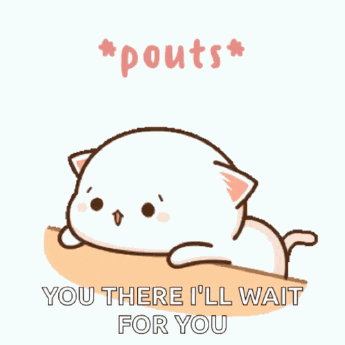 Rosy Cheeks Mochi Cat GIF