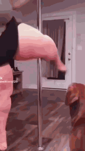 Rotisserie Pole Dance GIF