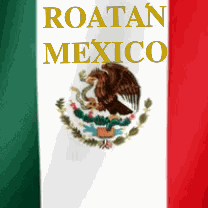 Rotmex6 GIF