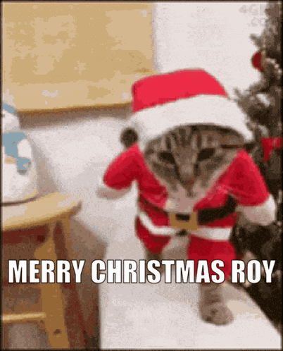 Roy Christmas Holiday GIF