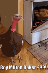 Roy Thanksgiving GIF