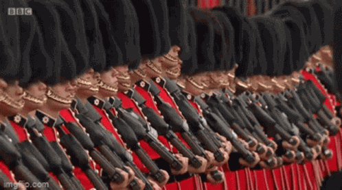 Royal Salute GIF
