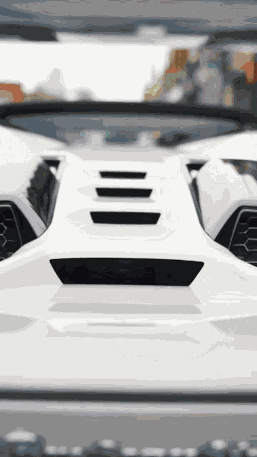 Rsc Racing Social Club GIF