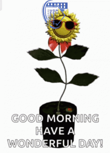 Rsv Goodmorning GIF