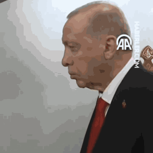 Rte Erdogan GIF