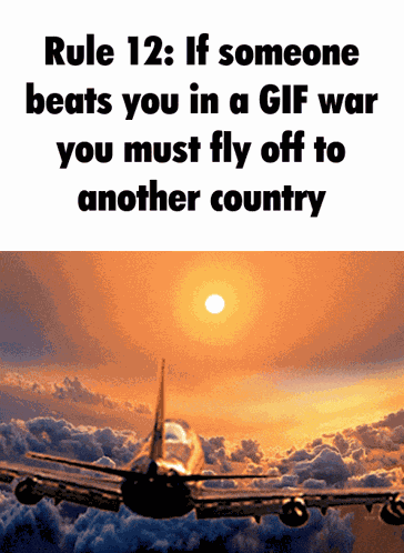 Rule 12 Ze Epik Meme Rules GIF