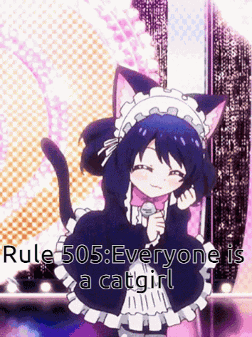 Rule 505 GIF
