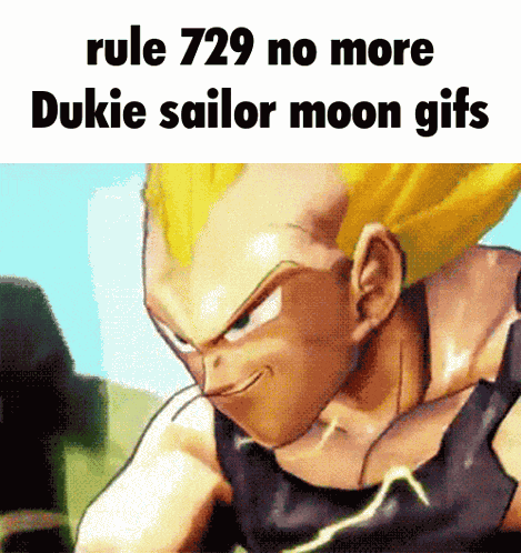 Rule 729 Duke Sailor Moon GIF