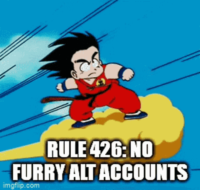 Rule Rules GIF