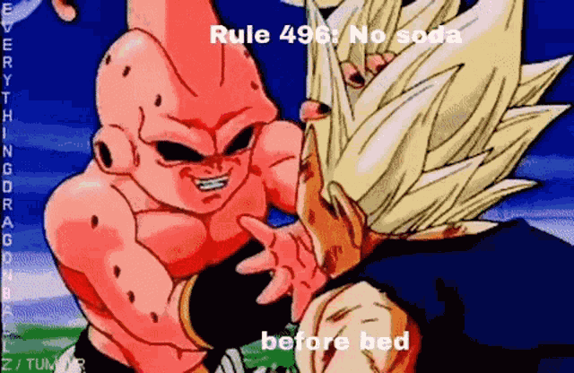 Rule496 Kid Buu GIF