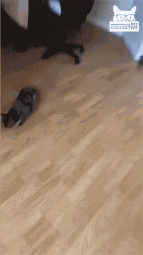 Run Escape GIF