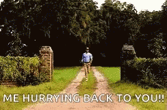 Run Forest Running GIF
