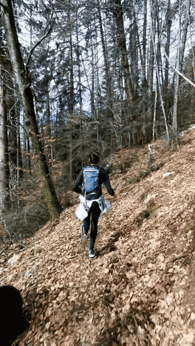 Run Trail GIF