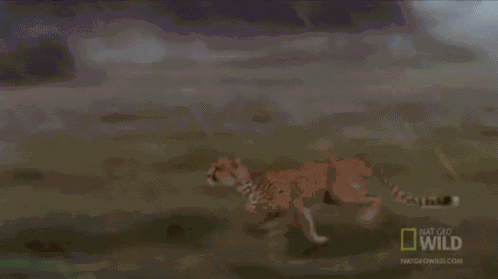 Running GIF