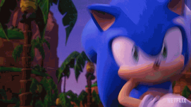 Running Shadow The Hedgehog GIF