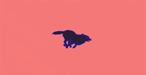 Running Wolf The Imbeciles GIF