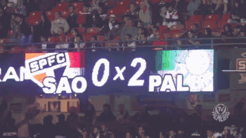 São Paulo Palmeiras Campeao Paulista GIF