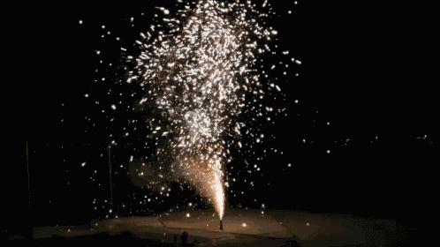 S1nnr3 S1nn3rv3 GIF