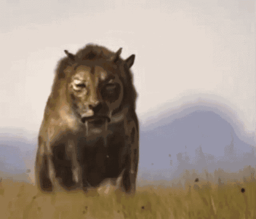 Saber Tooth Tiger Walking With Beasts GIF
