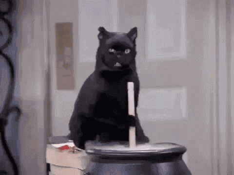 Sabrina GIF