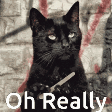 Sabrina The Teenage Witch Salem GIF